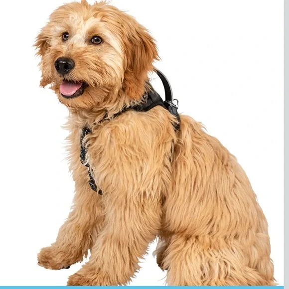 Pemeir Pet Black Nylon No Pull Comfort Harness Size Small - Picture 5 of 5